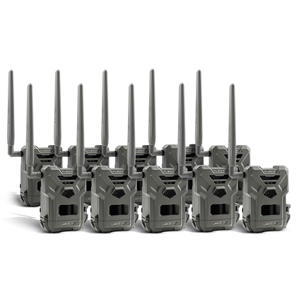 FLEX-M CA PRE-OWNED 10 PACK